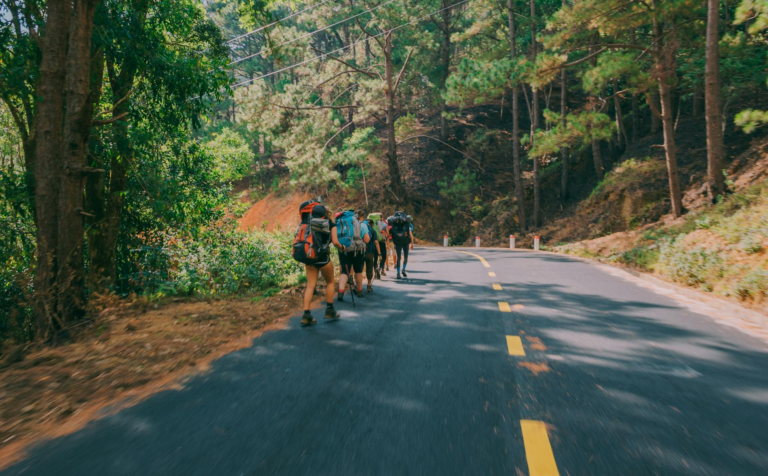 group of people walking beside the road